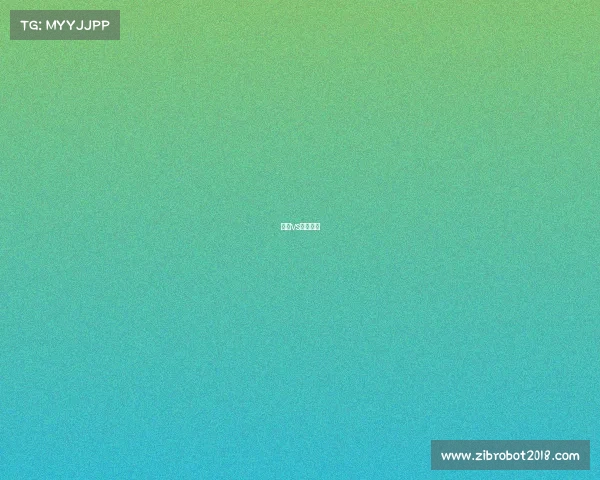 申花vs东京首发